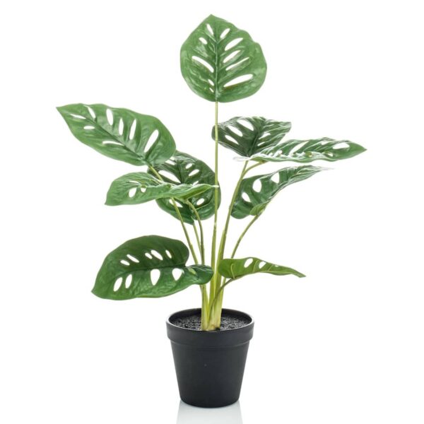 Emerald Konstväxt monstera Monkey Bush i kruka 43 cm - Bild 2