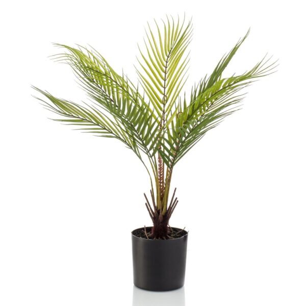 Emerald Konstväxt Chamaedorea Palm i kruka 50 cm