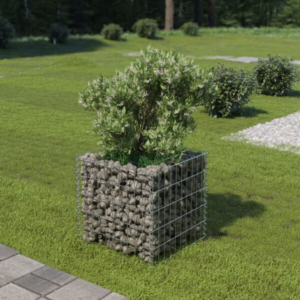 Planteringsgabion upphöjd galvaniserat stål 50x50x50 cm