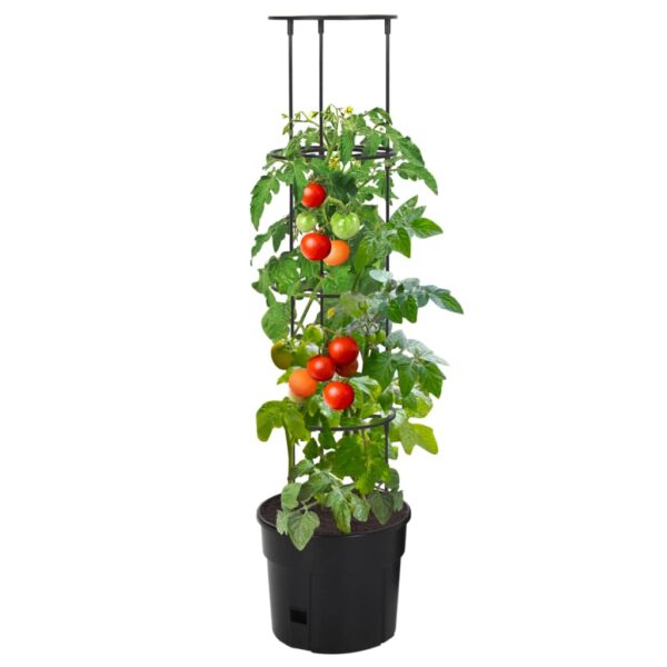 Kruka för tomatplanta Ø29,5x115 cm polypropylen - Bild 2