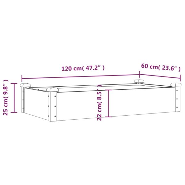 Odlingslåda med foder 120x60x25 cm massivt granträ - Bild 8